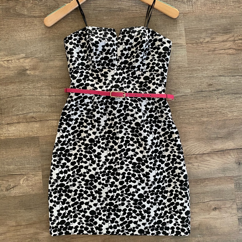 Max and Cleo dress